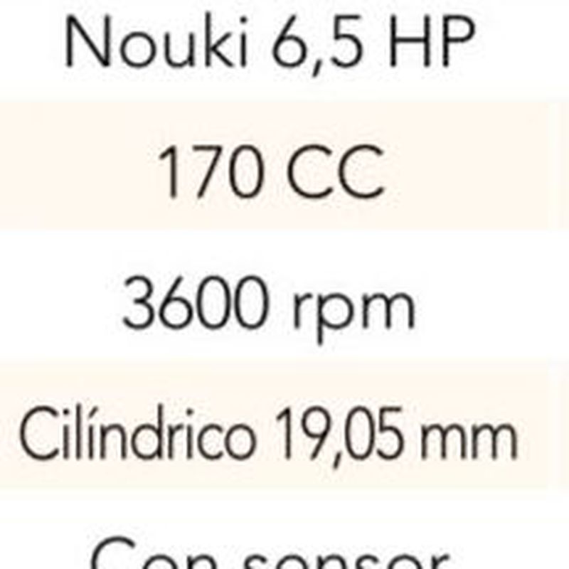 MOTOR (TIPO HONDA)170 CC 6,5 HP EJE CILINDRICO 19.05 MM  Cód. HS-701: Productos y servicios de Maquiagri