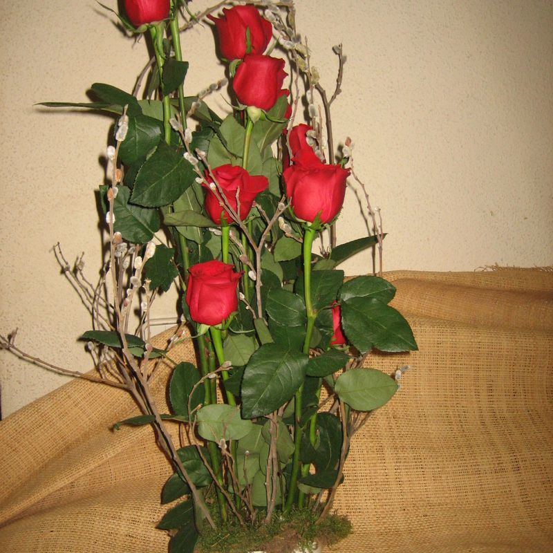 Rosas rojas 