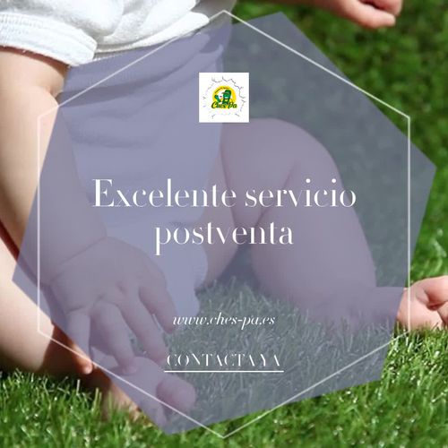 Mantenimiento de césped artificial en Valencia | Ches Pa, S.L.