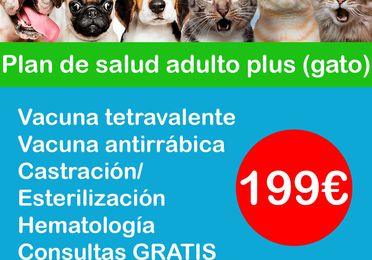 Plan de salud anual Plus (gatos)