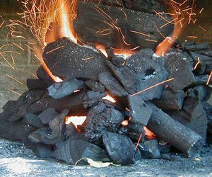 Especialistas en la venta de carbón vegetal  