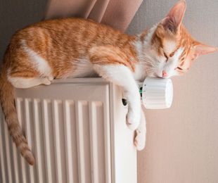 Cuidados básicos para instalaciones de calefacción