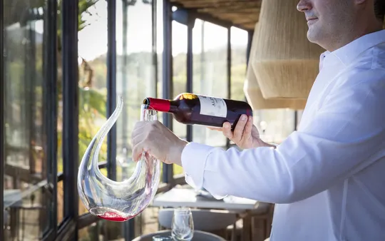 Imagen 2 de la galería