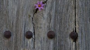 Imagen de Tratamientos - Autoestima