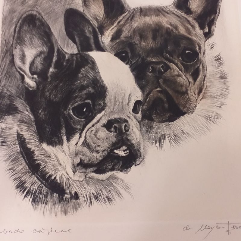 Kurt Meyer_ Bulldog francés