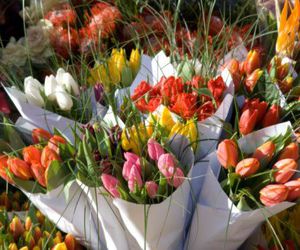 Floristerías en Ordes | Flores Abellá