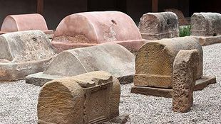 Imagen de Especialidades - DERECHO DE SUCESIONES