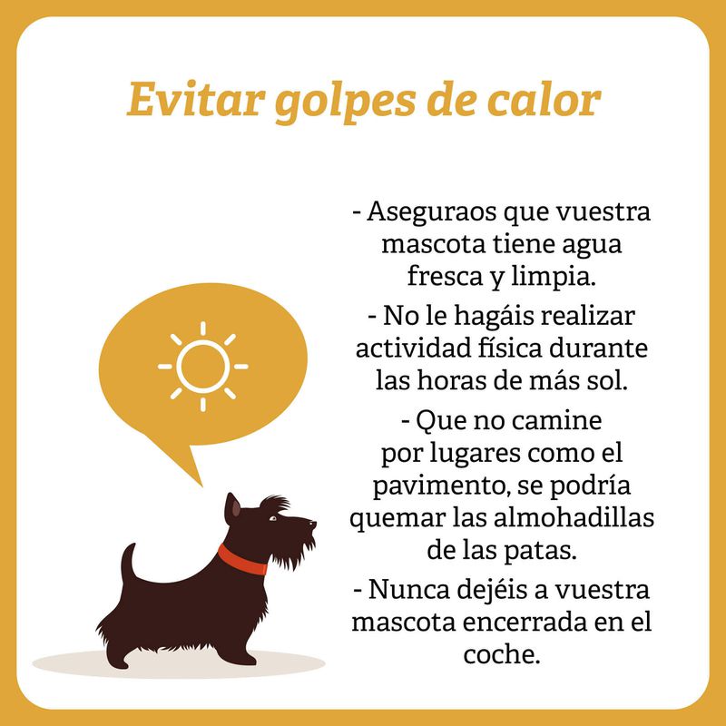 Evitar golpes de calor 
