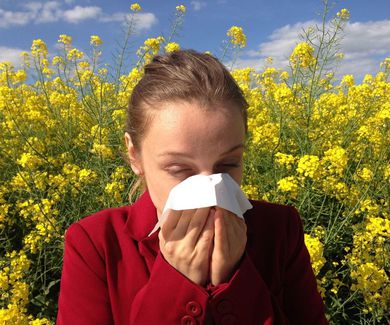 Alergia estacional (primaveral)
