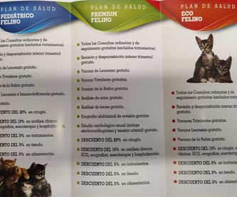 Peluquería canina y felina: Servicios de Doctoras Vet Clínica Veterinaria