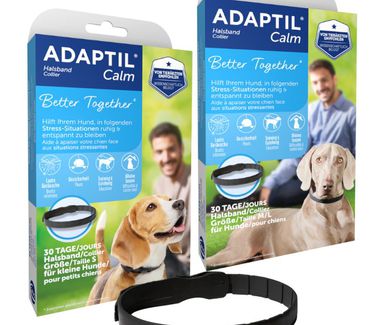 Adaptil collar para perros