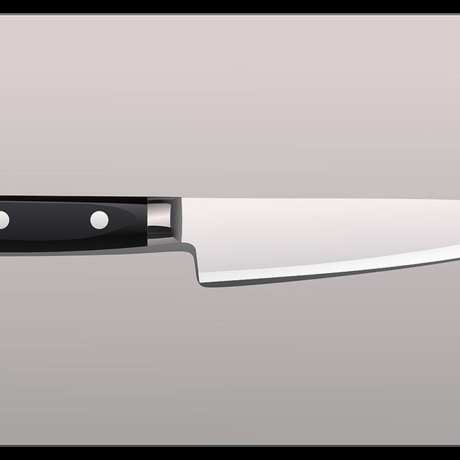 El acero inoxidable para los cuchillos en la cocina