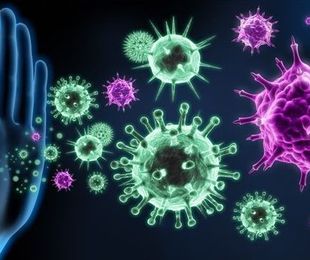 Diferencias en el sistema inmunitario de hombres y mujeres