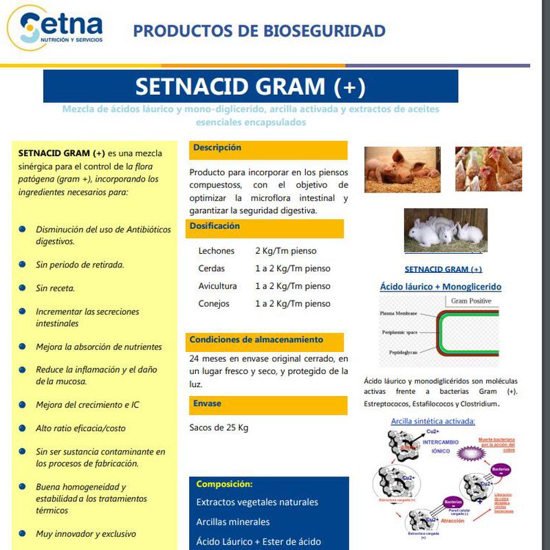 Setnacid Gram (+): Productos y servicios de Pedro García Rubia
