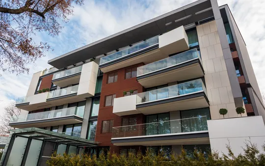 Imagen 3 de la galería