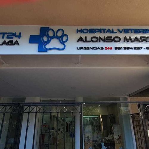Hospital Veterinario 24 horas en Málaga