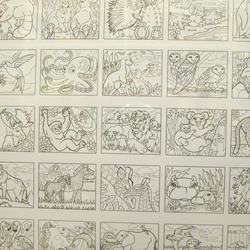 Libro para colorear