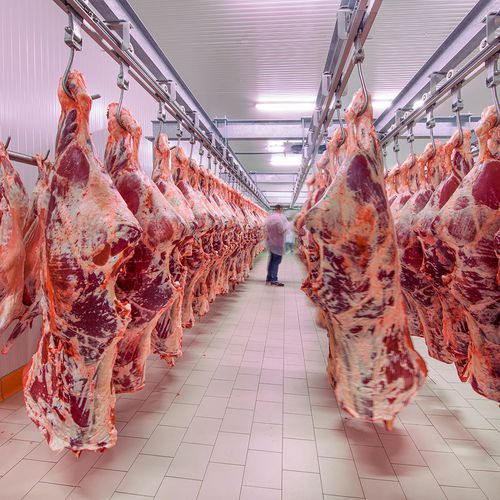 Distribuidora de carnes Málaga