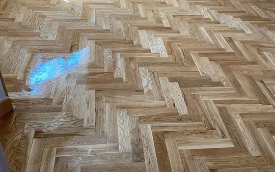 Imagen 2 de la galería