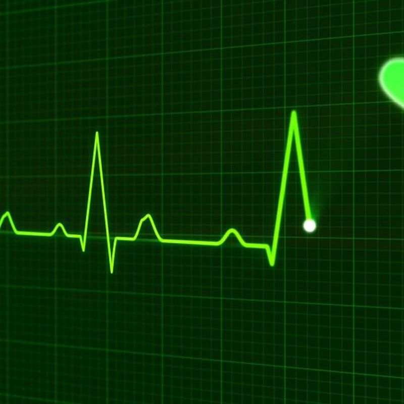 Cardiología: Servicios  de CLÍNICA VETERINARIA HISPANIDAD