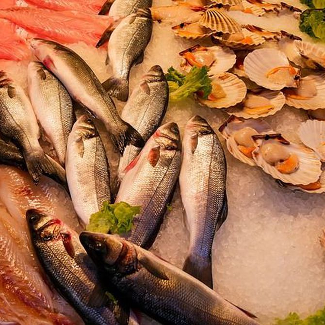 Los beneficios que desconocías de comer pescado y marisco