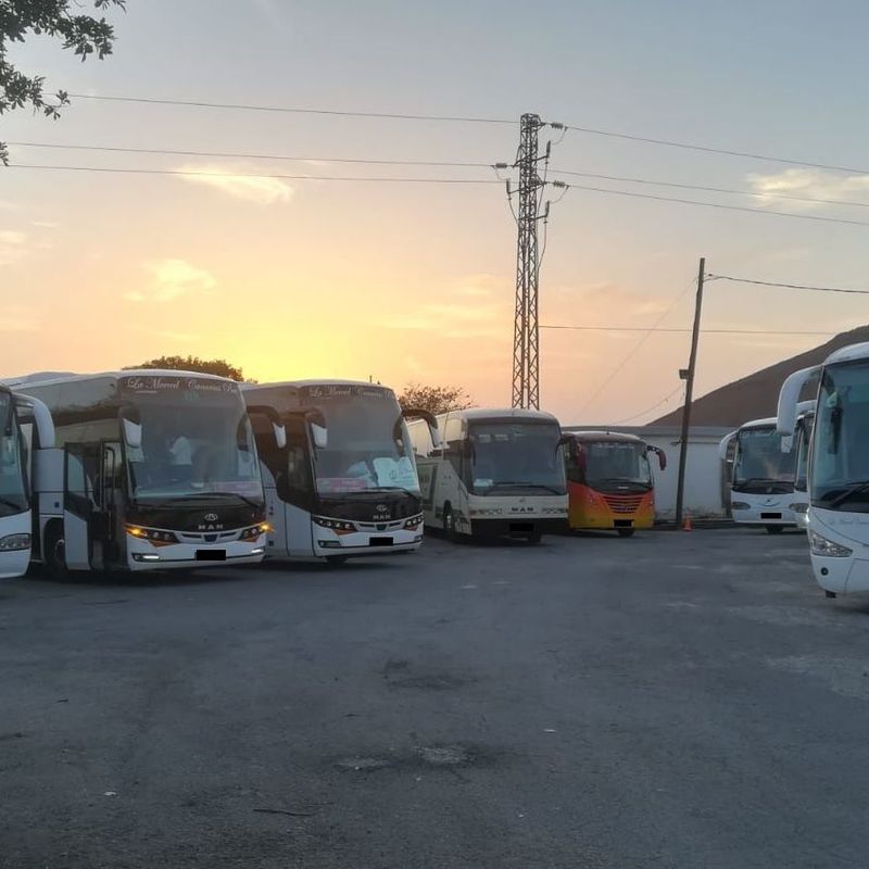 Flota: Servicios de La Merced Canarias, S.L.