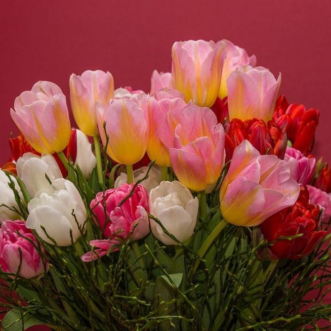 Ocasiones para decir ‘gracias’ o ‘felicidades’ con flores