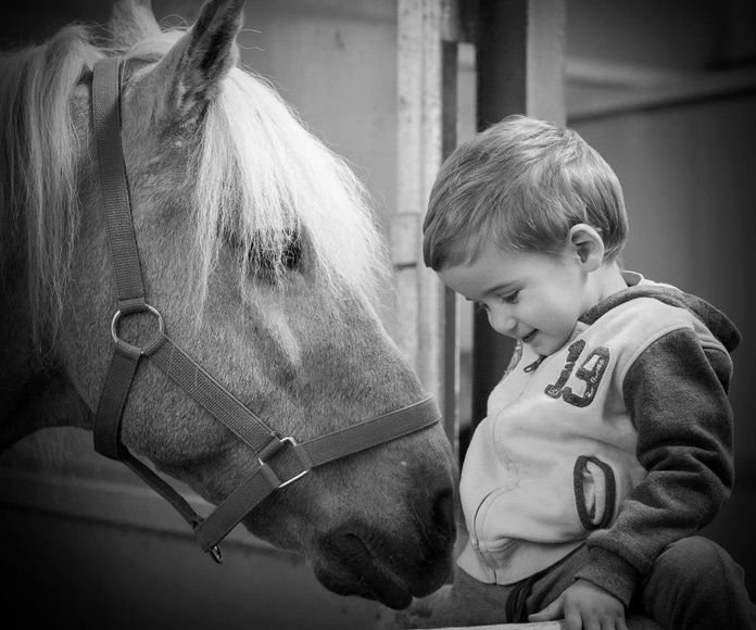 Equitación adaptada: Servicios de Centro de Equitación y Equinoterapia Biki Blasco