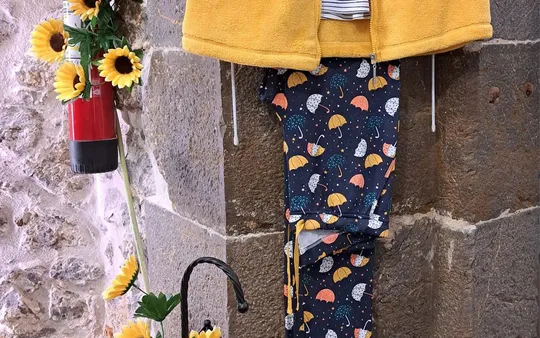 Imagen 5 de la galería