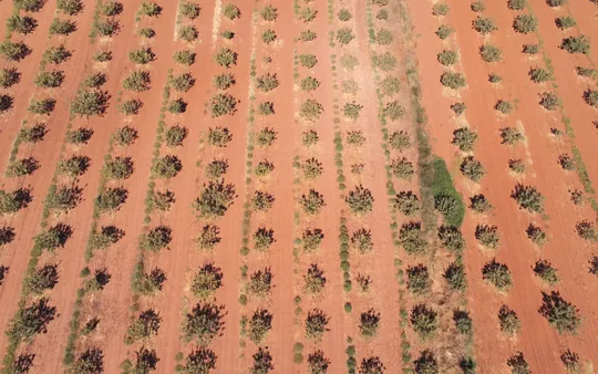 Imagen 3 de la galería