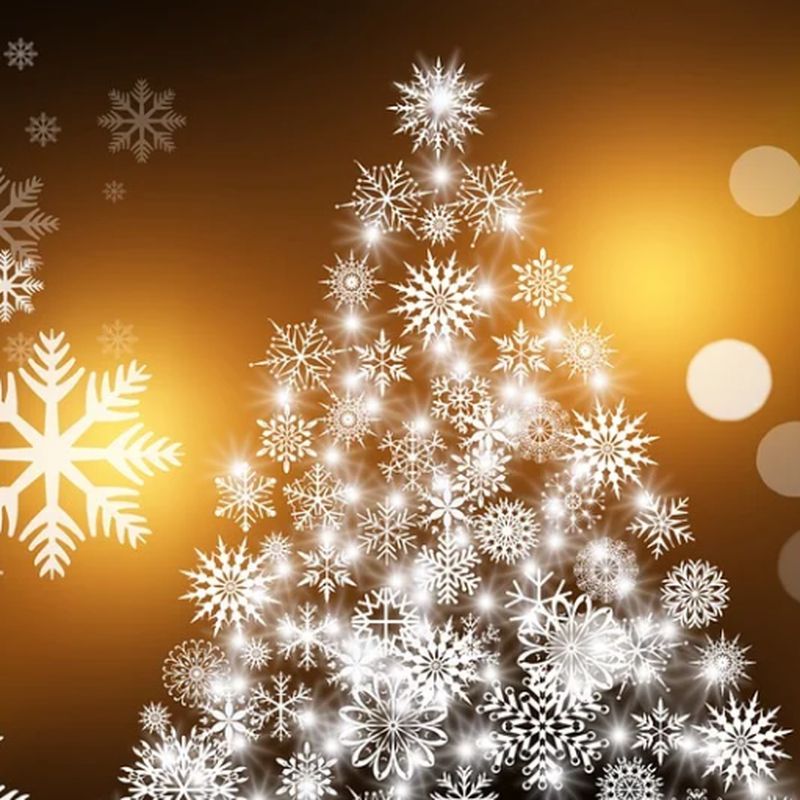 Menú Navidad  1: Carta de La Alegria
