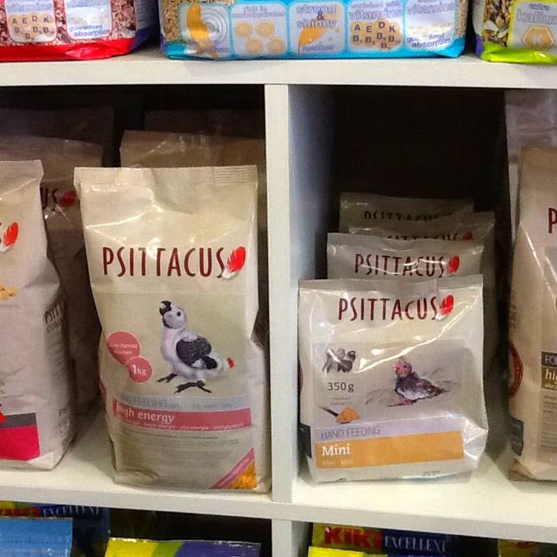Psittacus: Productos y servicios de El Gato Persa
