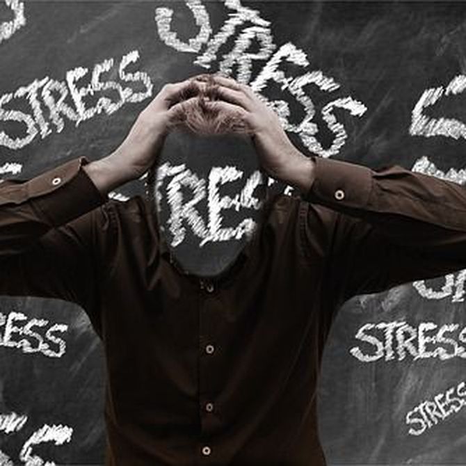 Las mudanzas son la tercera causa de estrés emocional. ¿Sabes cómo evitarlo?