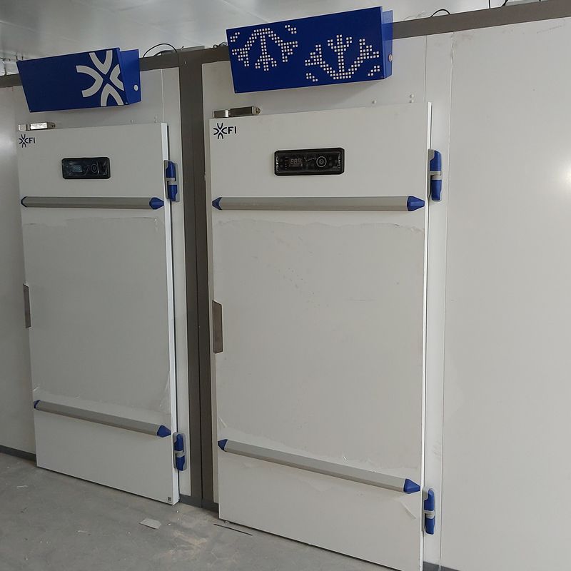 Cámaras de fermentación controlada con capacidad para 20 carros 800x1000
