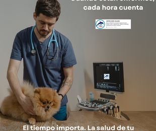 El tiempo importa: cuando un antibótico a tiempo puede salvar la vida de tu mascota