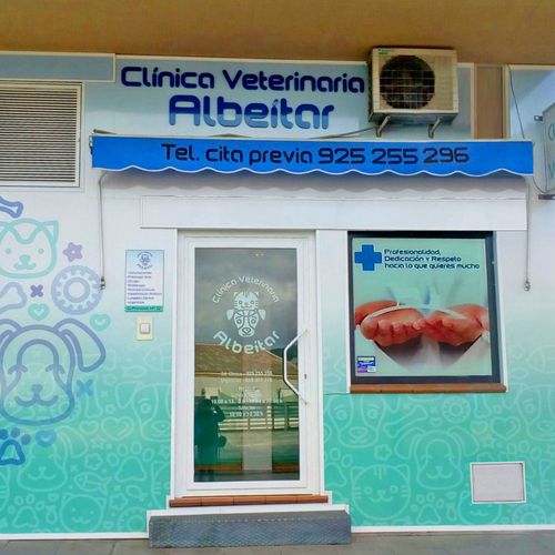 Veterinarios en Toledo | Clínica Veterinaria Albeitar