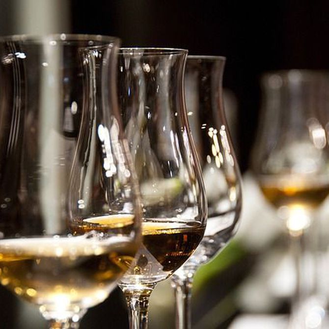 Beneficios, propiedades y mitos del vino blanco