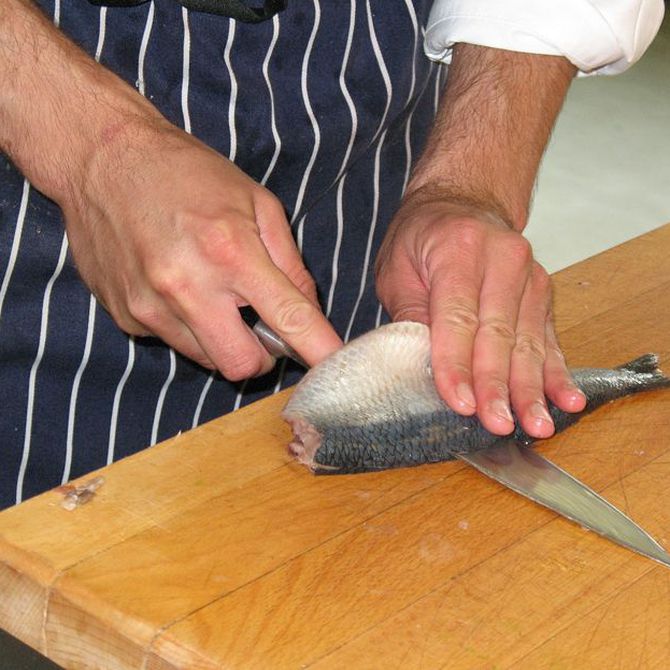Los cuchillos indispensables en tu cocina