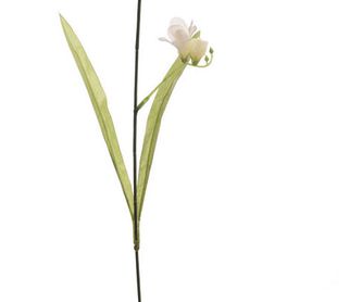 Mini Flower: Catálogo de Fernando Gallego, S.C.P.