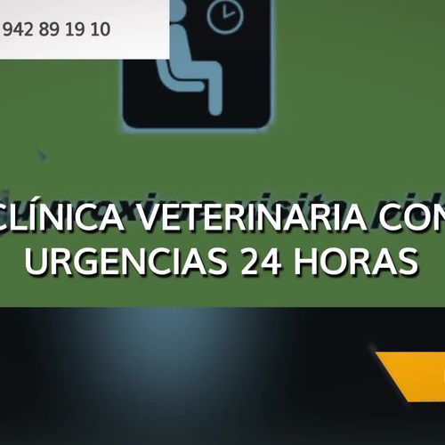 Urgencias veterinarias en Torrelavega | Clínica Veterinaria Besaya