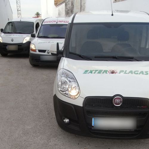Empresa de control de plagas en Sevilla