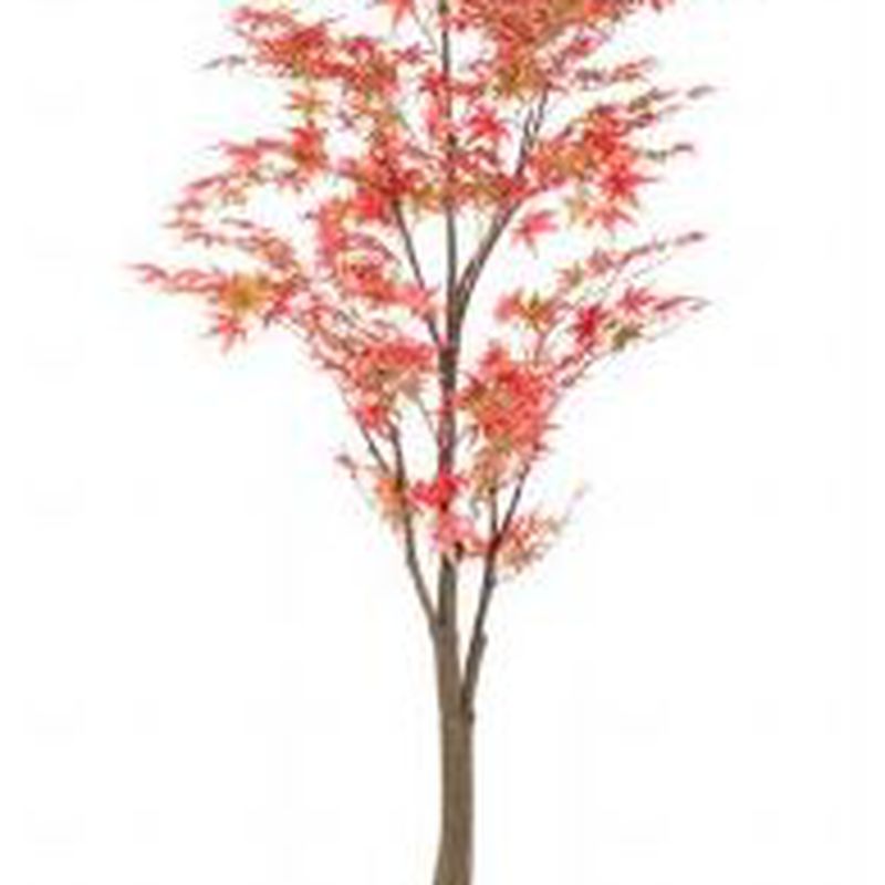 Árbol arce artificial Valencia
