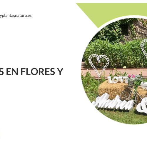 flores a domicilio Reinosa | Floristería Natura