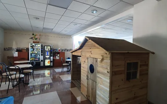 Imagen 6 de la galería