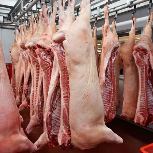 Carne de cerdo en Zamora