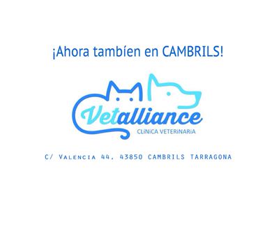 Ahora en también estamos en Cambrils