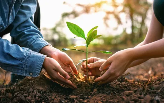 Imagen 6 de la galería