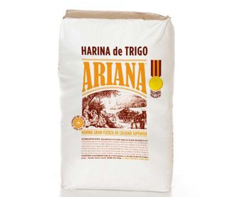 Harina de maíz amarillo sin gluten 1000 gr: Productos de Coperblanc Zamorana