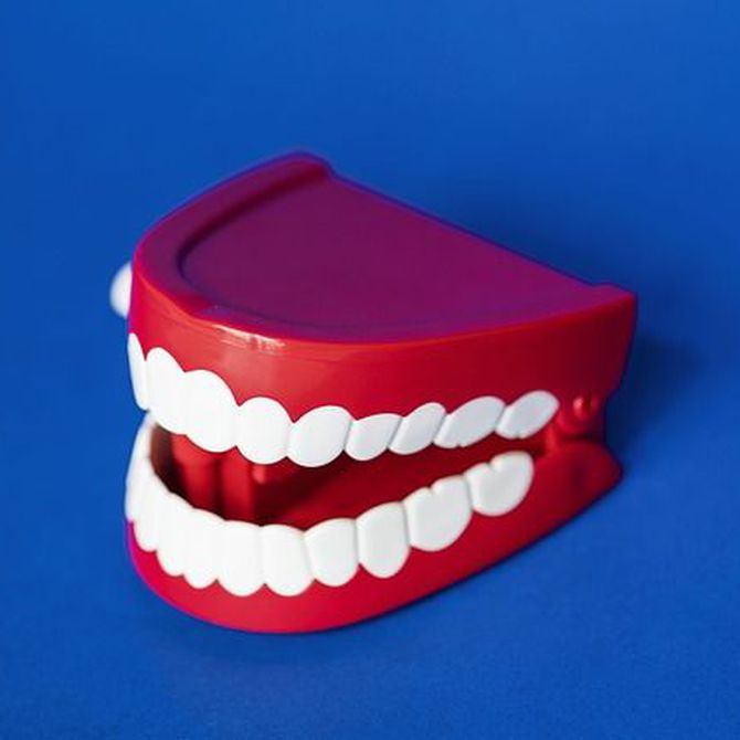 ¿Prótesis dentales fijas o removibles?