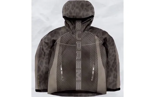 Imagen 7 de la galería